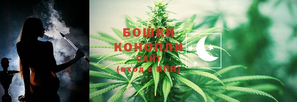 индика Баксан
