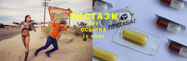 индика Баксан