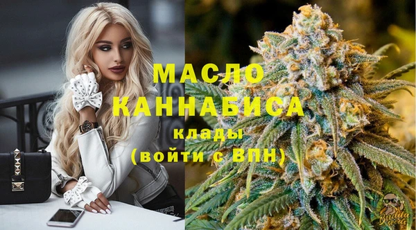 индика Баксан