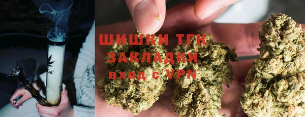 индика Баксан
